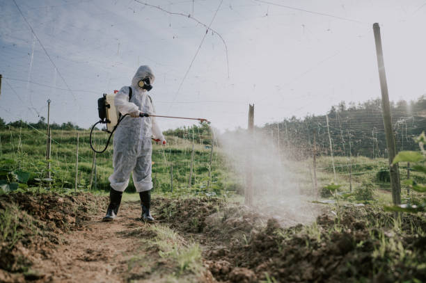 Best Commercial Pest Control Services  in Capron, IL