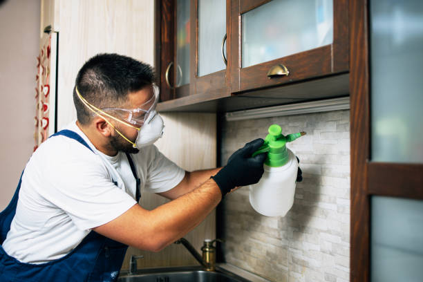 Best Wildlife Control Services  in Capron, IL
