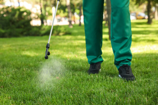 Trusted Capron, IL Pest Control Experts