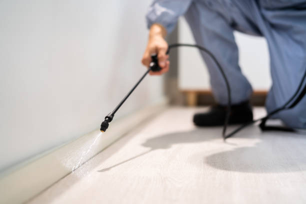 Best Pest Prevention Services  in Capron, IL