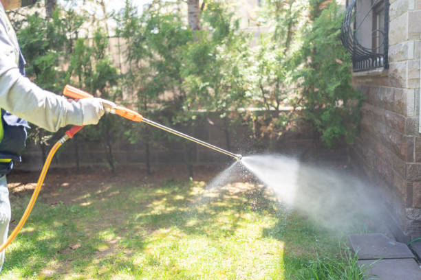 Best Best Pest Control Companies  in Capron, IL
