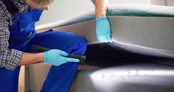 Best Pest Inspection Near Me  in Capron, IL