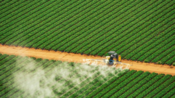 Best Pest Removal Services  in Capron, IL
